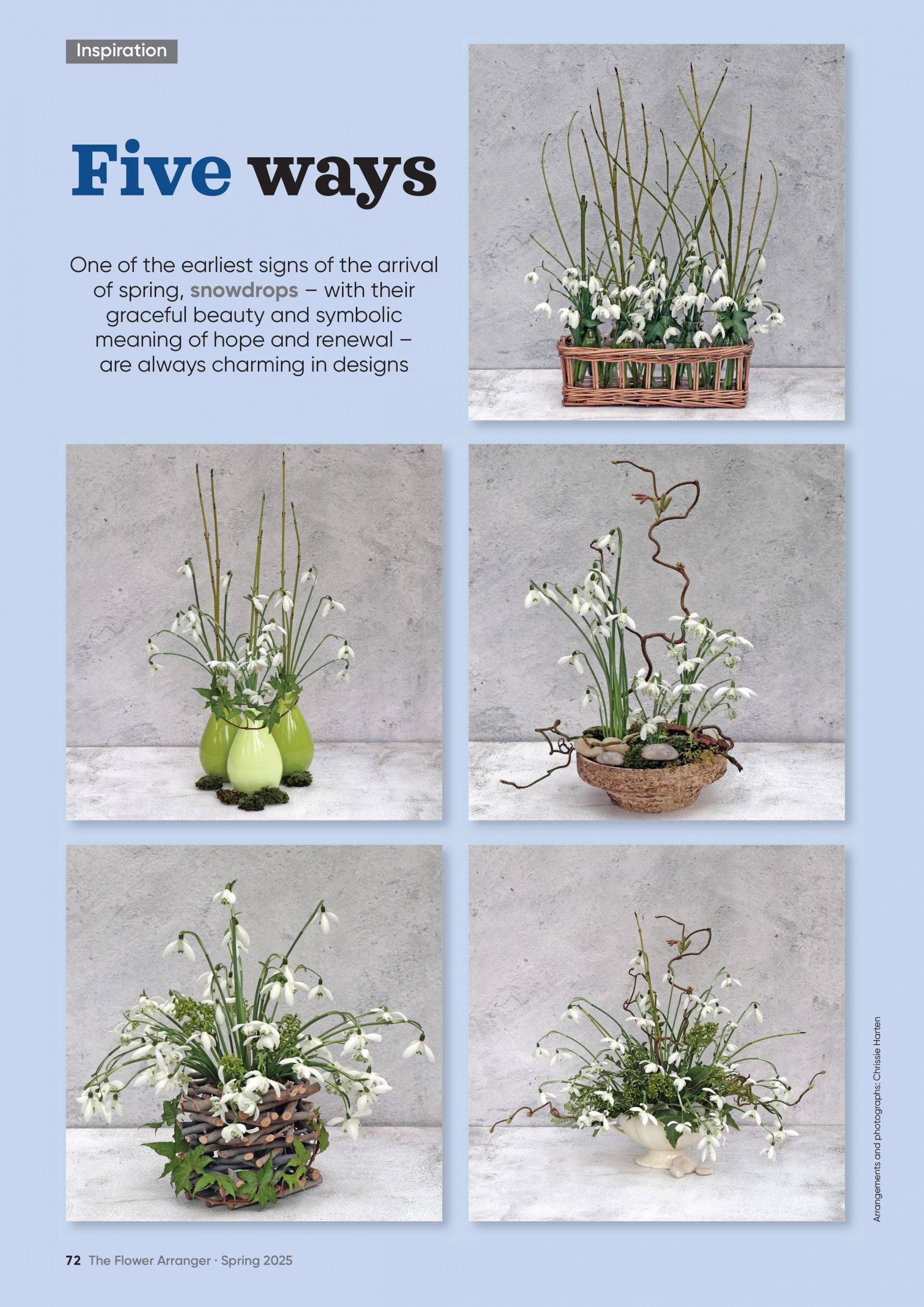 Tạp Chí The Flower Arranger Magazine #Spring 2025 - Kallos Vietnam