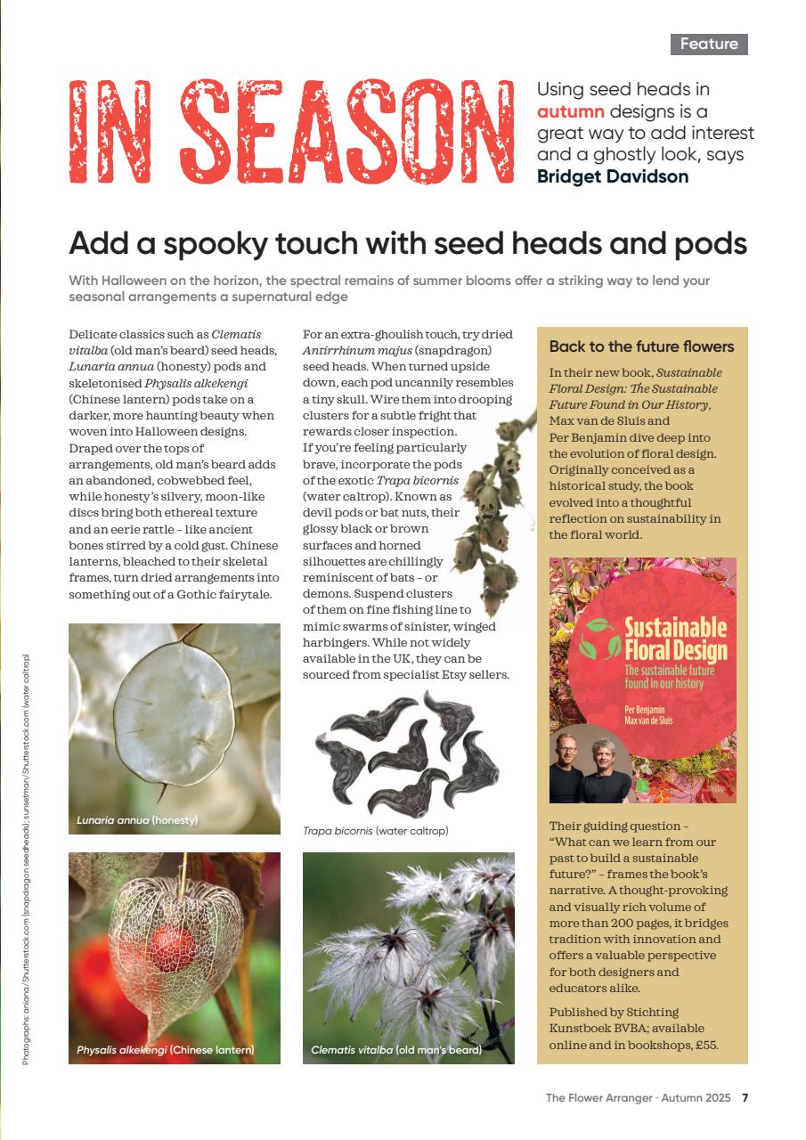 Tạp Chí The Flower Arranger (UK) Magazine #Fall 2025-Kallos