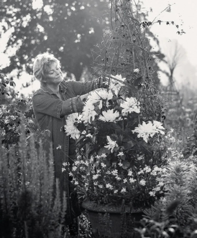 Tạp Chí The World Of Interiors (UK) Magazine #July 2025