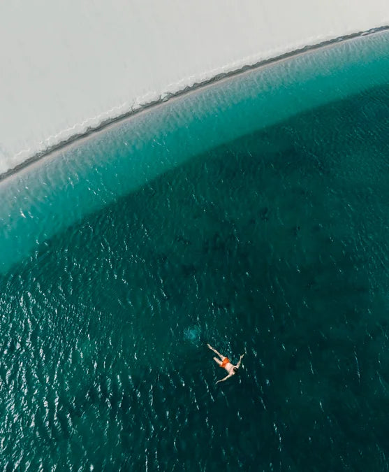 Tạp Chí TRAVEL+LEISURE Magazine #December 2025 / January 2026