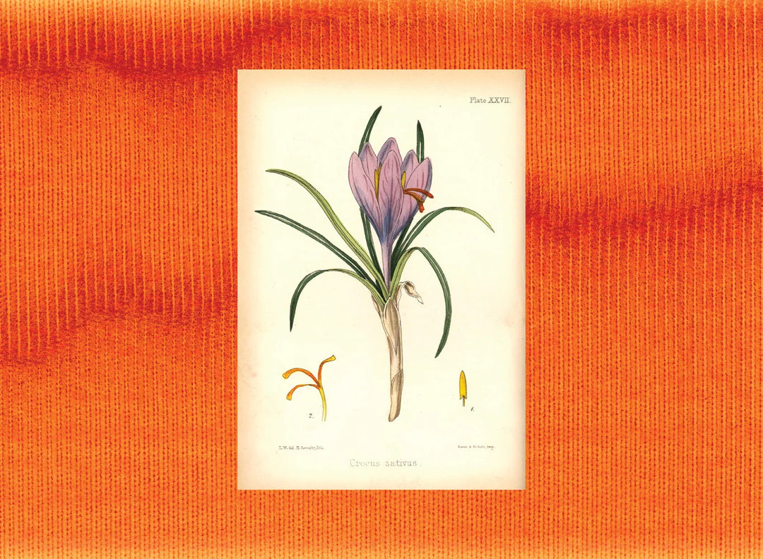 Tạp Chí VOGUE (USA) Magazine #May 2025