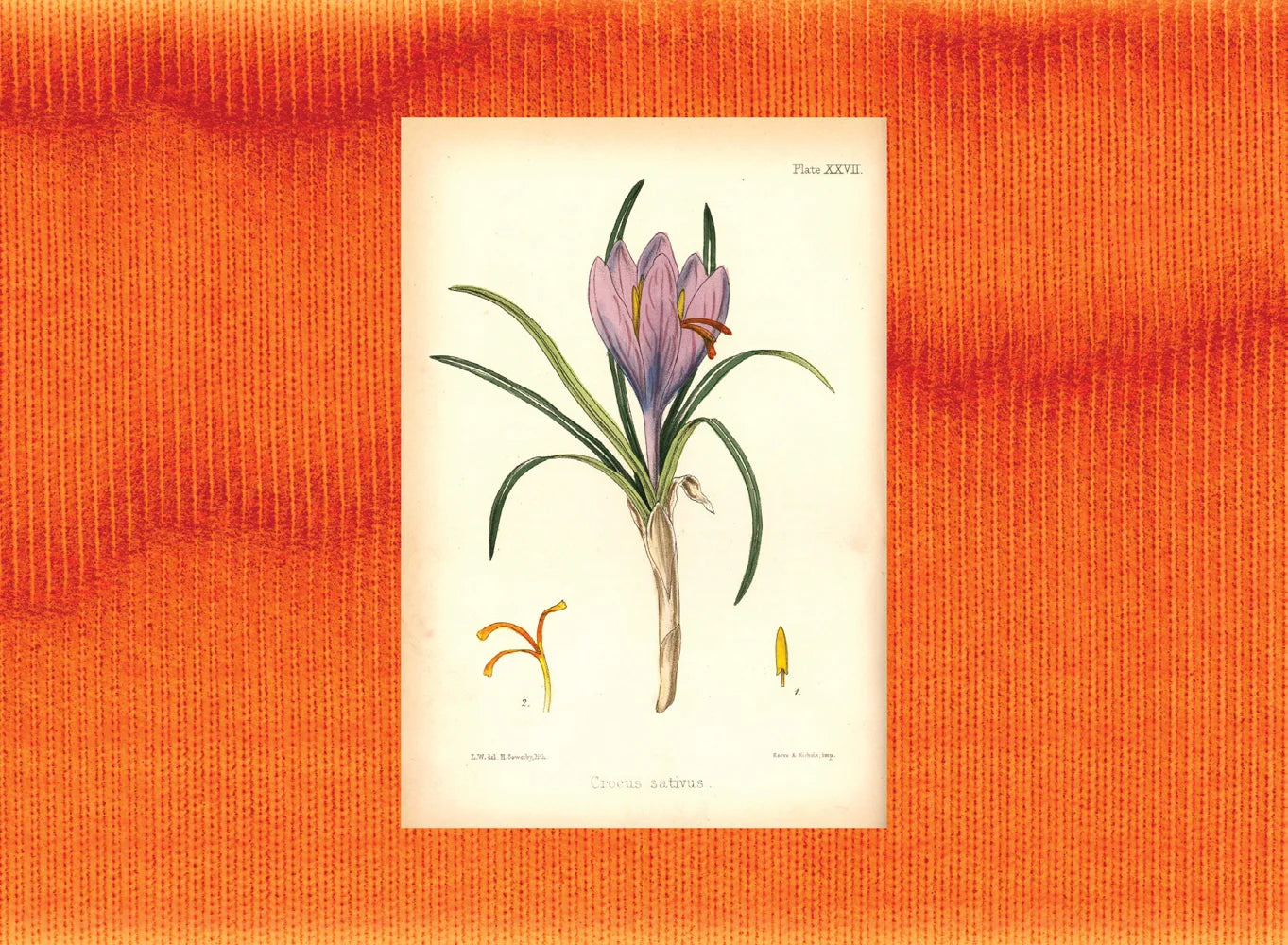 Tạp Chí VOGUE (USA) Magazine #May 2025-Kallos