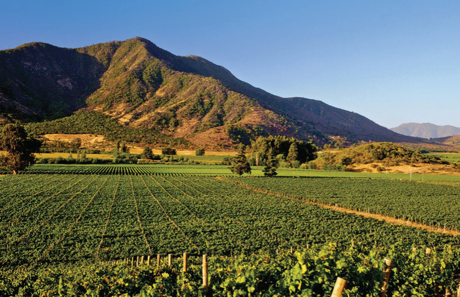 Tạp Chí Wine Spectator Magazine #April 30, 2025-Kallos