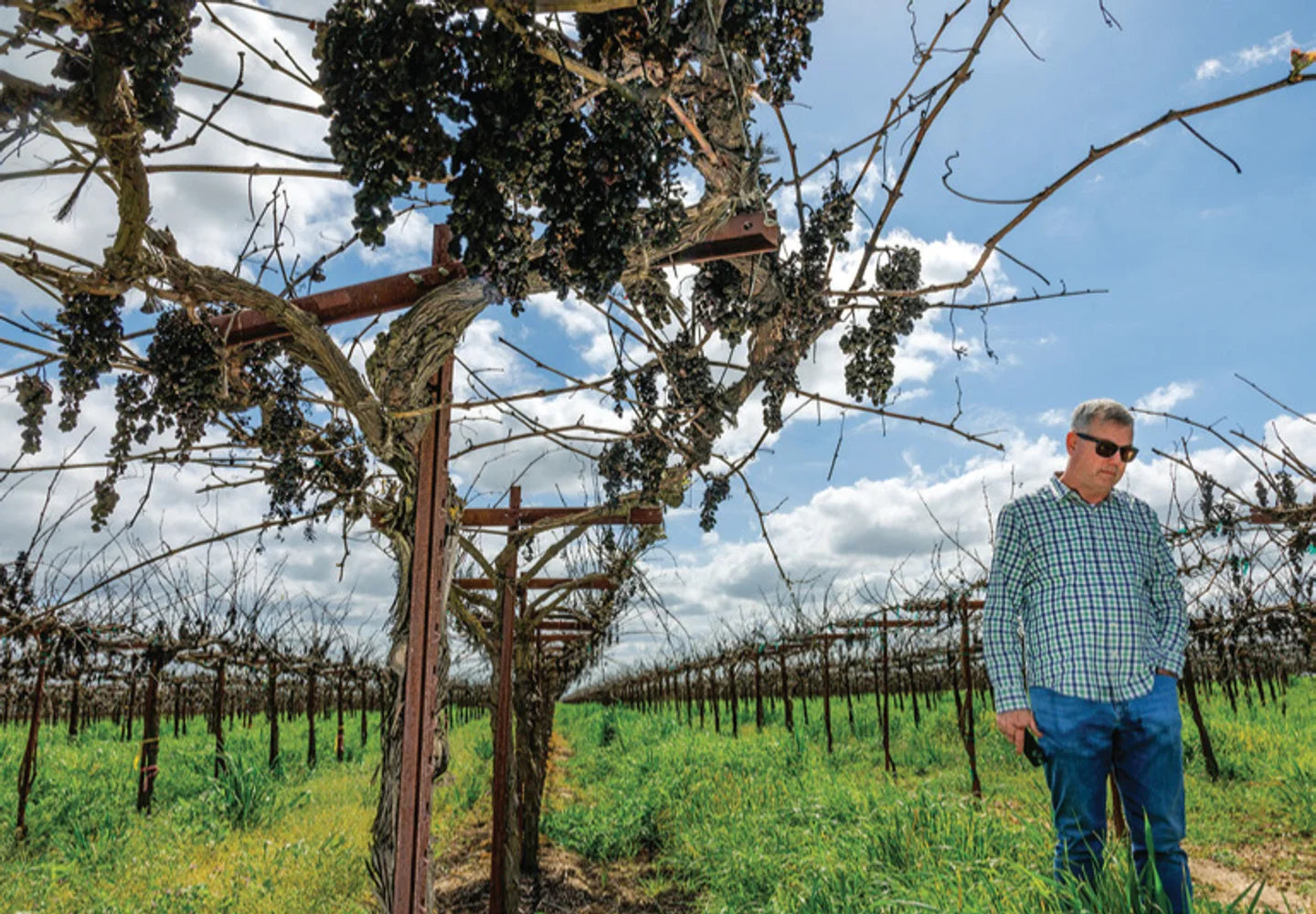 Tạp Chí Wine Spectator Magazine #February 28, 2025-Kallos