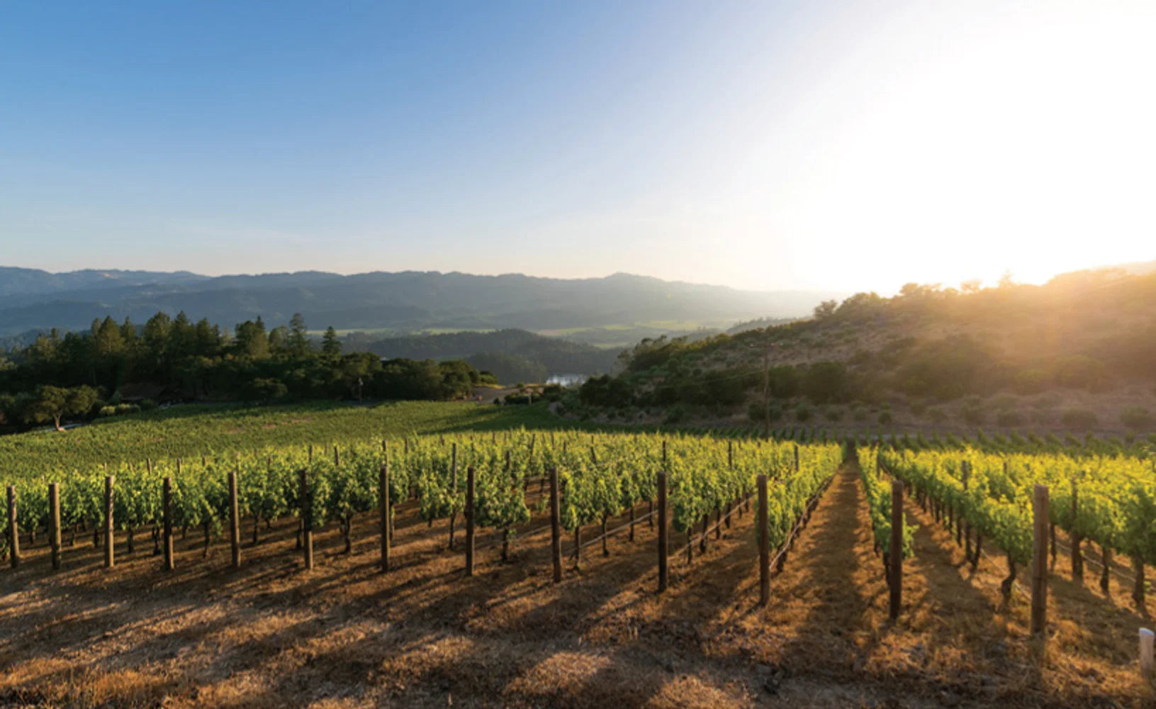 Tạp Chí Wine Spectator Magazine #February 28, 2025-Kallos