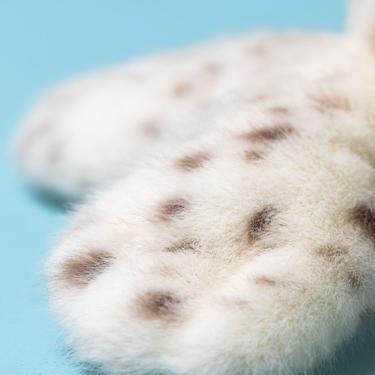Thú Bông JELLYCAT Galumphous Seal-Kallos