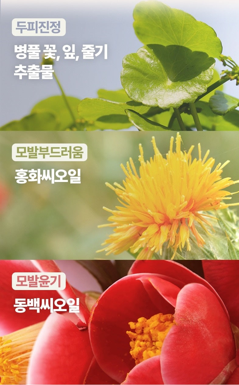 Thuốc Nhuộm Tóc RYO Bright Color Hairdye Cream #5N Natural Brown