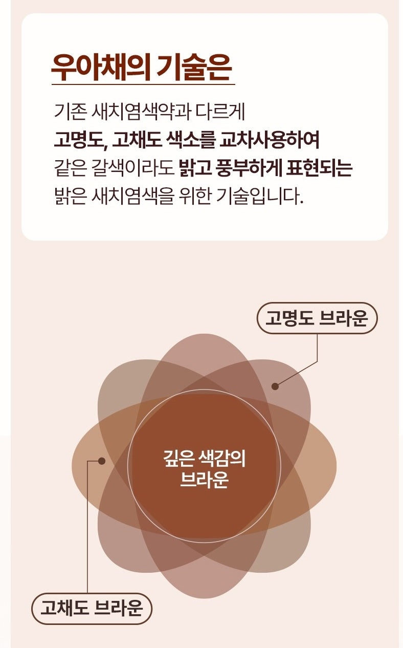 Thuốc Nhuộm Tóc RYO Bright Color Hairdye Cream #6C Coffee Brown