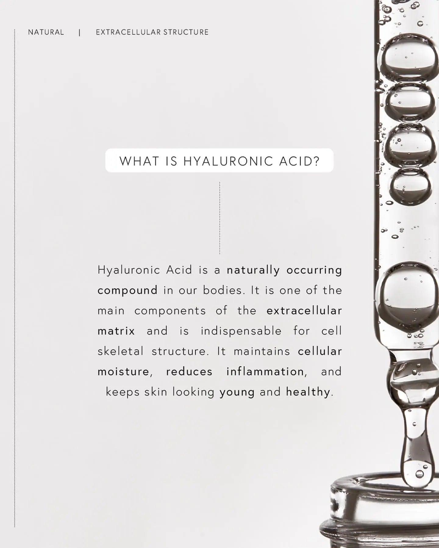 Tinh Chất Dưỡng Dr. Barbara Sturm Hyaluronic Serum-Kallos