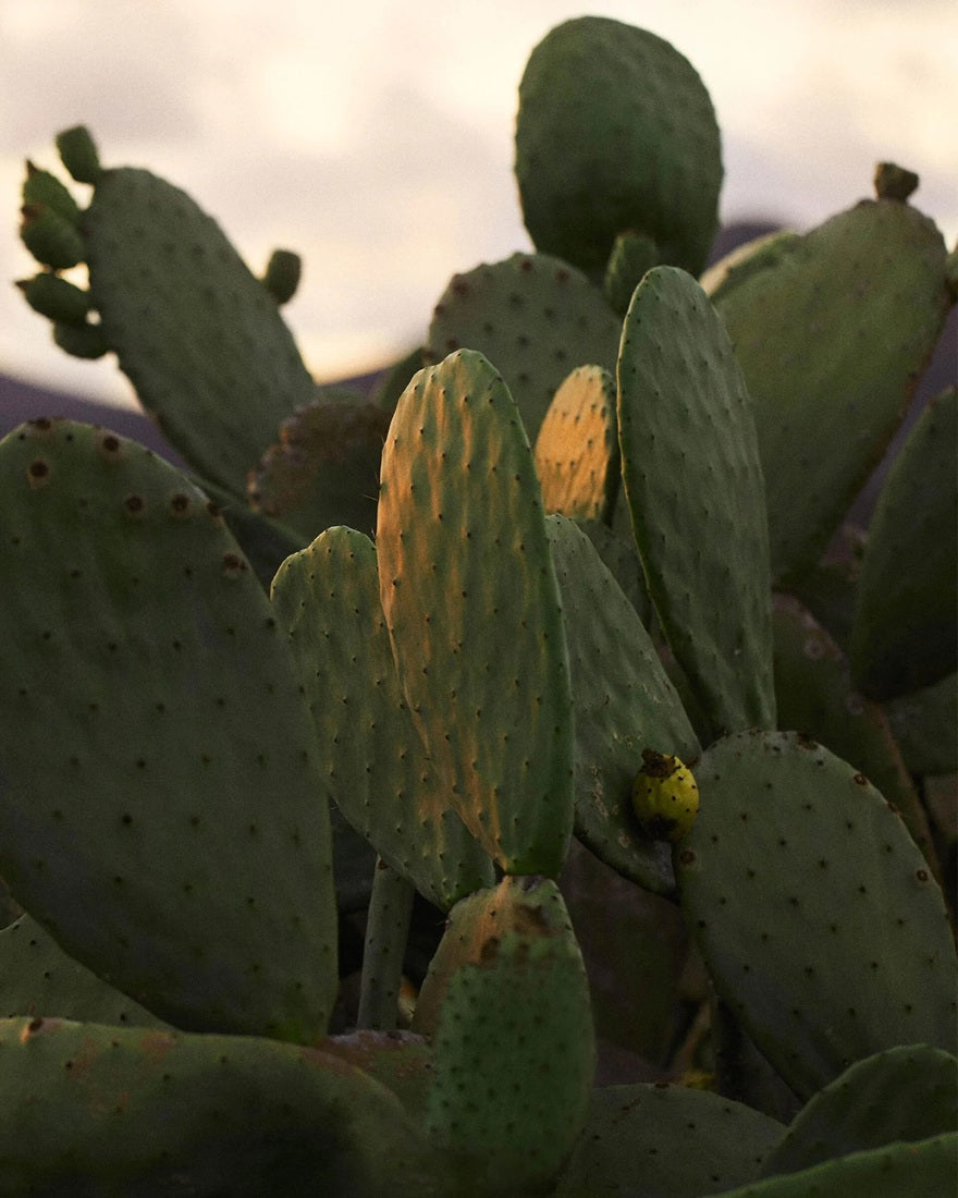 Tinh Chất Dưỡng Tóc DIOR Sauvage Hair Serum