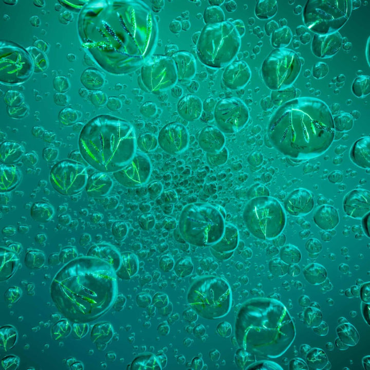 Tinh Chất Helena Rubinstein Powercell Skinmunity 