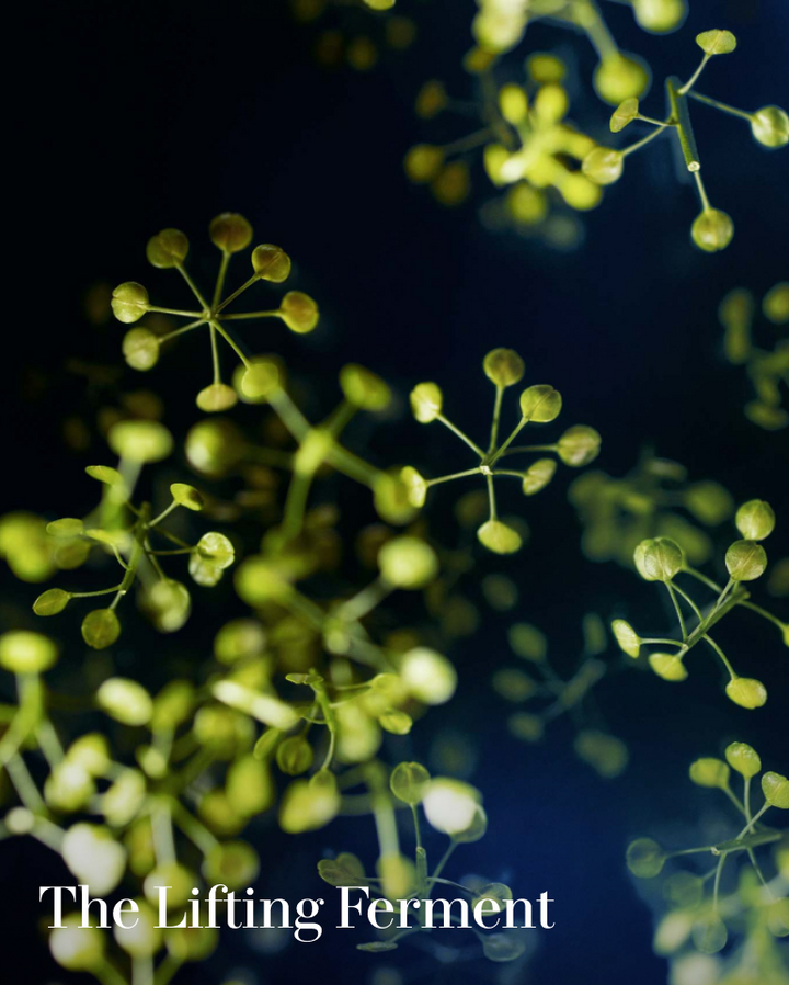 Tinh Chất LA MER The Lifting Contour Serum 