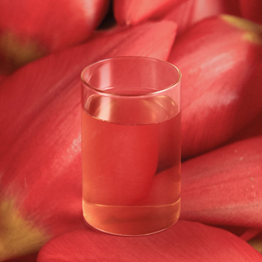 Trà OSULLOC Camellia Forest Tea - Kallos Vietnam