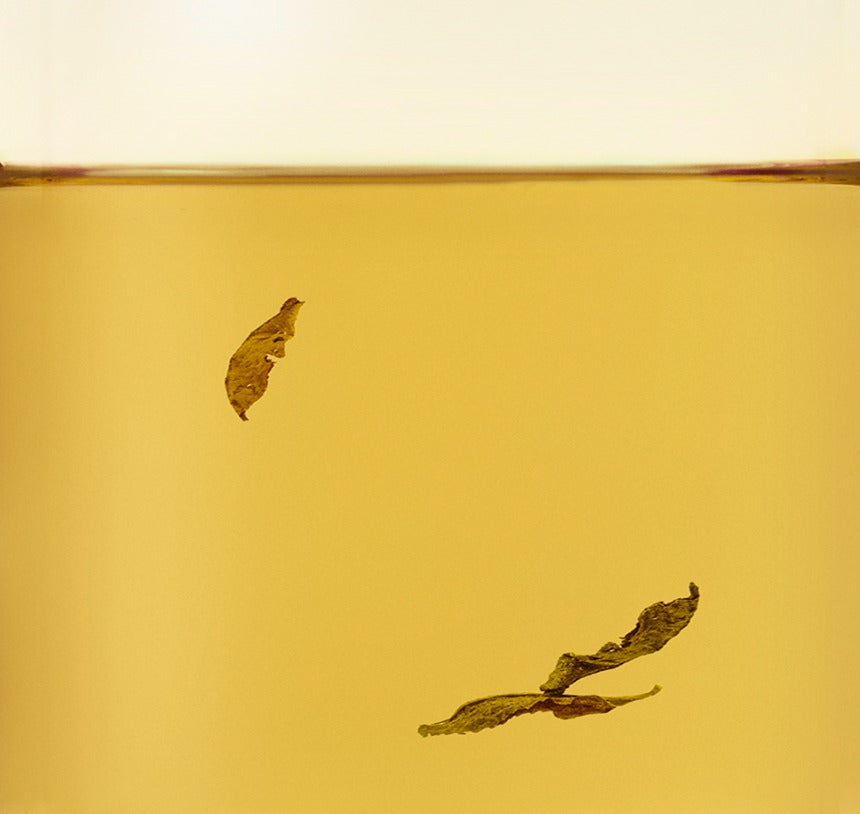 Trà OSULLOC Jeju Hojicha Roasted Green Tea