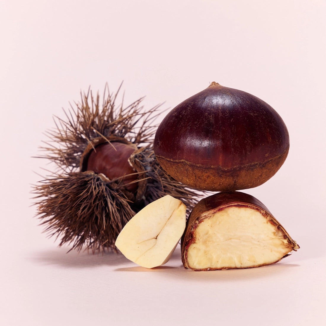 Trà OSULLOC Marron Cream Black Tea-Kallos