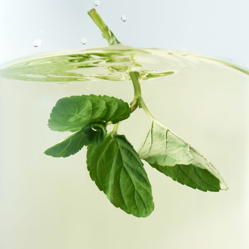 Trà OSULLOC Peppermint Breeze Tea-Kallos