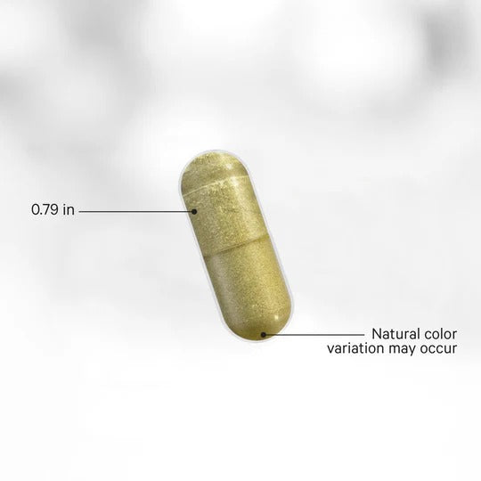 Viên CODEAGE Liposomal NMN Platinum