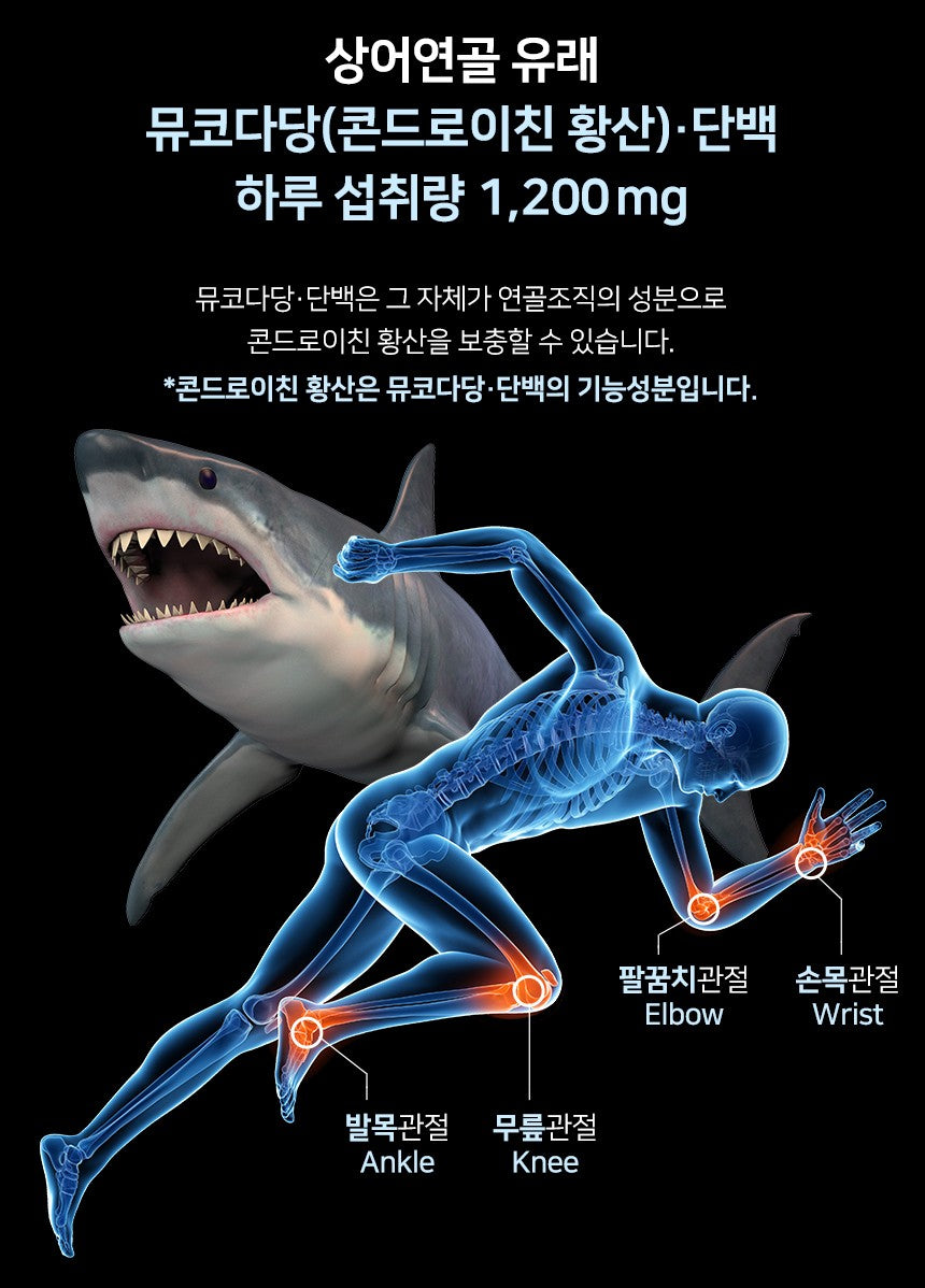 Viên Daewoong Bone Cartilage Joint Shark Cartilage #60 Tablets-Kallos