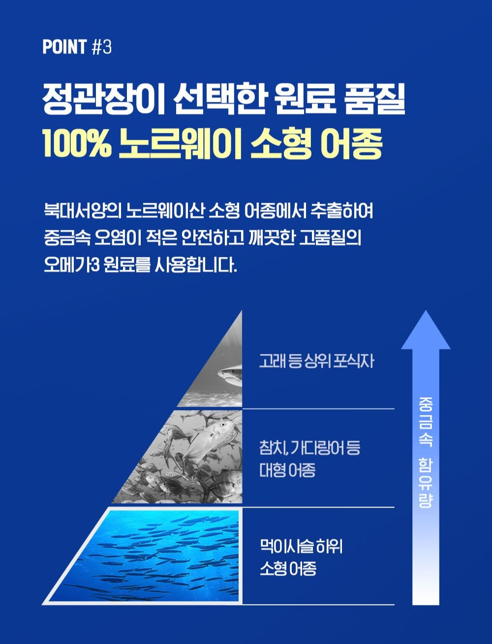 Viên KGC Jung Kwan Jang Alpha Project Double Care rTG Omega 3 #60 Days-Kallos