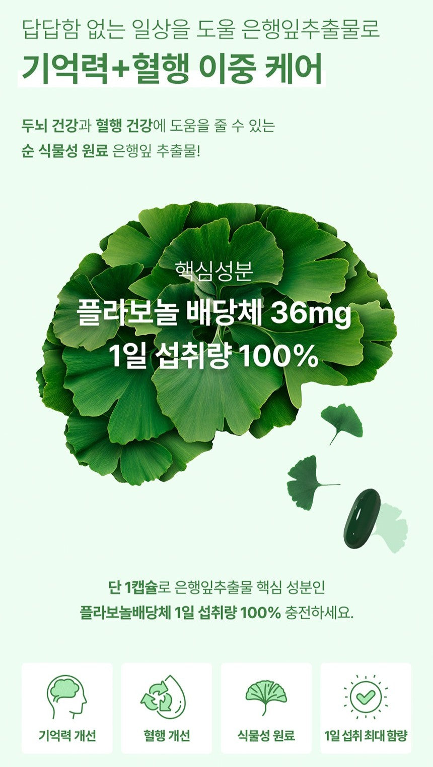 Viên Naturalize Ginkgo Biloba Memory Plus #180 Capsules-Kallos