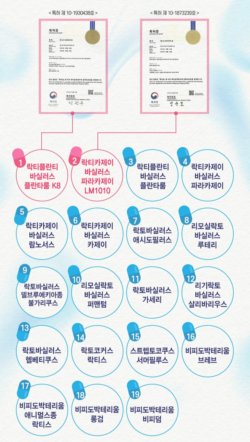 Viên Nutrilabs One Day Multi-Biotics #60 Capsules