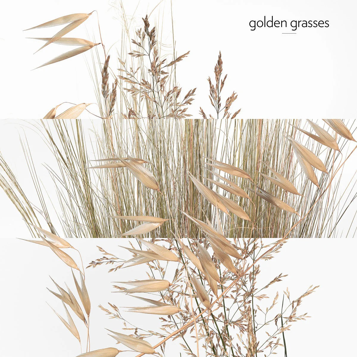 Xà Phòng HERMES Un Jardin À Cythère Perfumed Soap