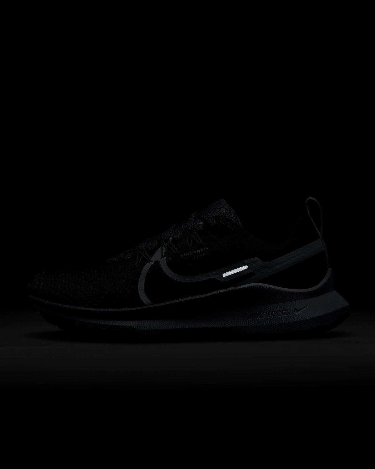 Giày Nike Pegasus Trail 4 Women Shoes #Black - Kallos Vietnam