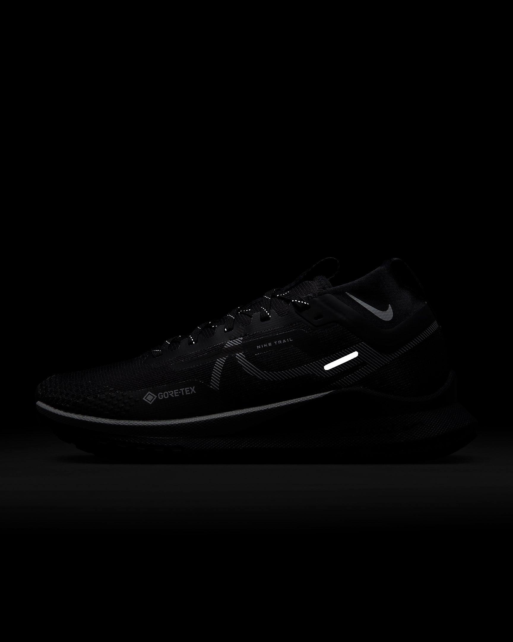 Giày Nike Pegasus Trail 4 GORE-TEX Women Shoes #Black - Kallos Vietnam