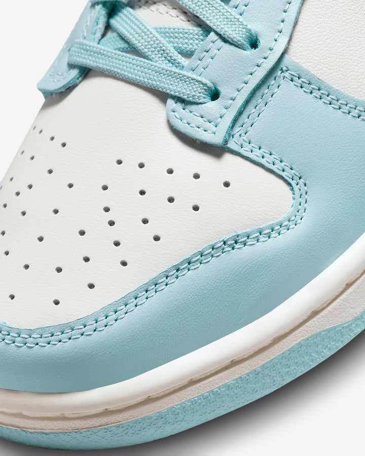 Giày Nike Dunk Low Women Shoes 