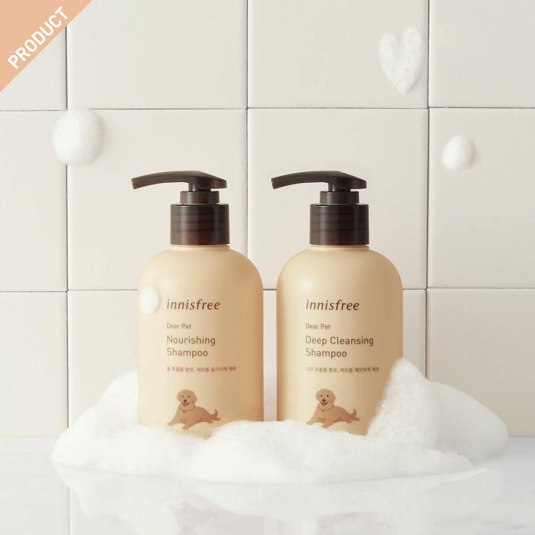 Dầu Gội Innisfree Dear Pet Shampoo - Kallos Vietnam