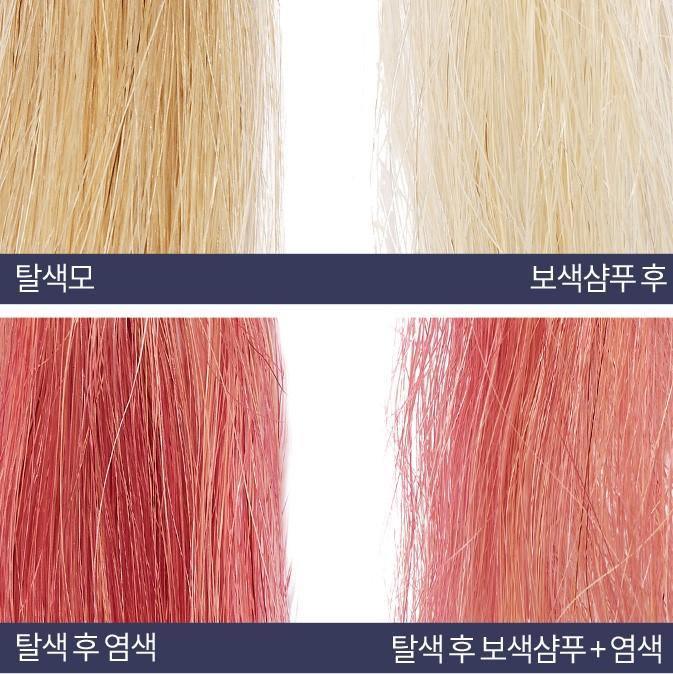 Dầu Gội Tím Etude House Two Tone Purple Shampoo - Kallos Vietnam