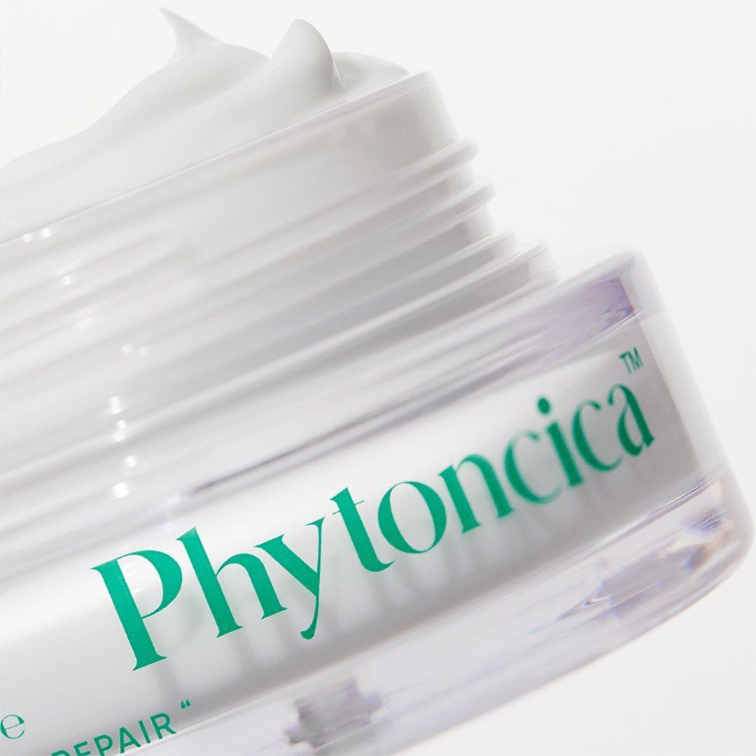 Kem Dưỡng Amuse Phytoncica ECO Ceramide Cream - Kallos Vietnam