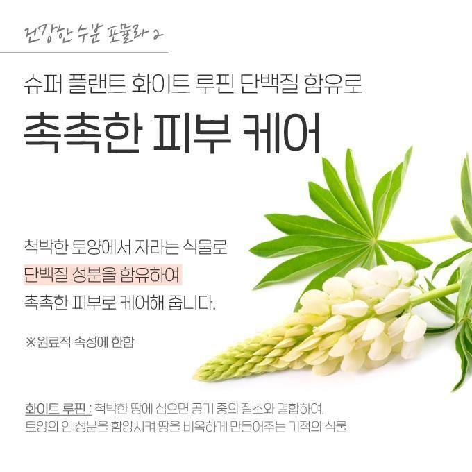 Kem Dưỡng Etude House Moistfull Collagen Deep Cream - Kallos Vietnam