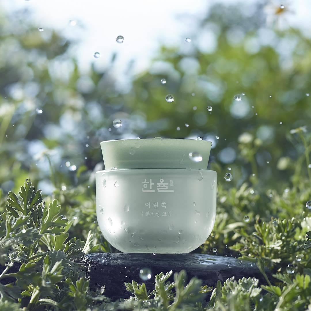 Kem Dưỡng Hanyul Pure Artemisia Calming Water Cream - Kallos Vietnam