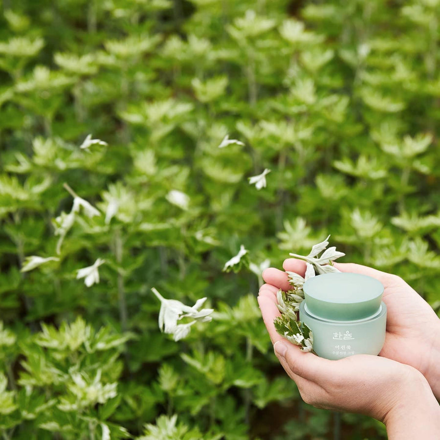 Kem Dưỡng Hanyul Pure Artemisia Calming Water Cream - Kallos Vietnam