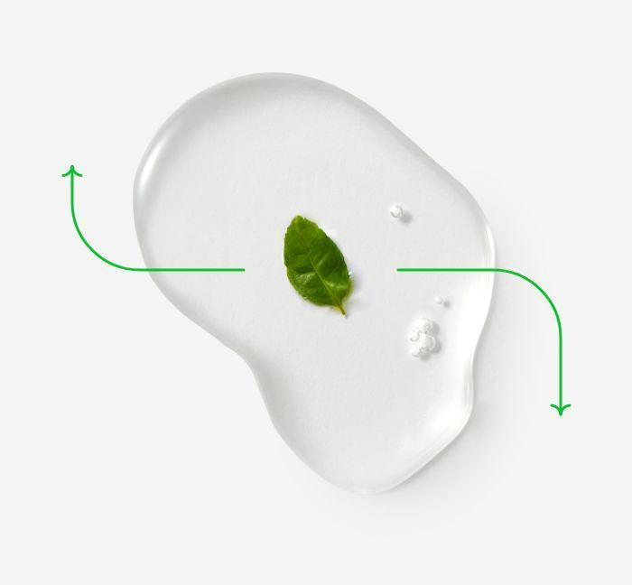Kem Dưỡng Innisfree Green Tea Seed Cream - Kallos Vietnam