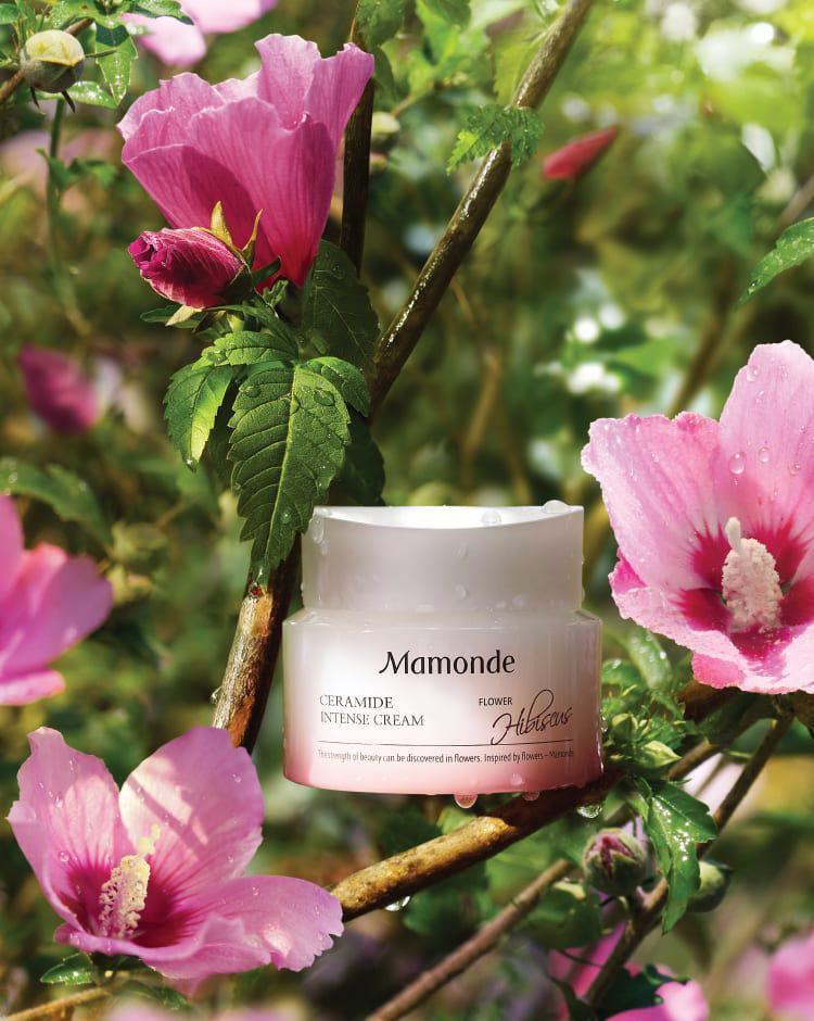Kem Dưỡng Mamonde Ceramide Intense Cream - Kallos Vietnam
