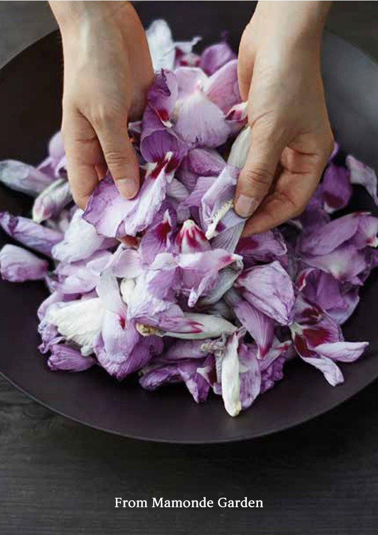 Kem Dưỡng Mamonde Ceramide Intense Cream - Kallos Vietnam