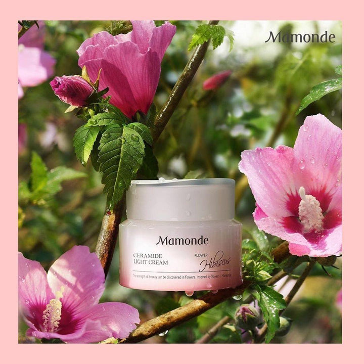 Kem Dưỡng Mamonde Ceramide Light Cream - Kallos Vietnam