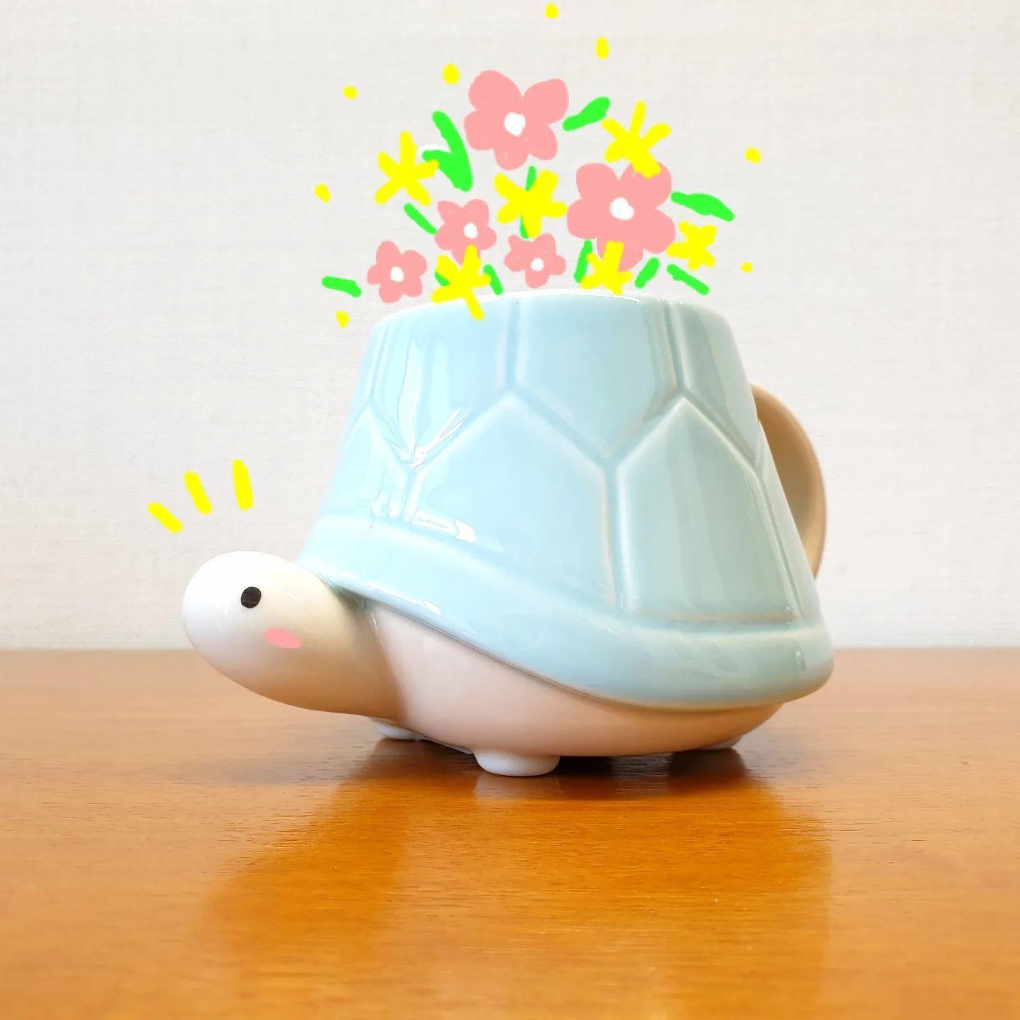 Ly Starbucks 22 Sea Turtle Mug - Kallos Vietnam
