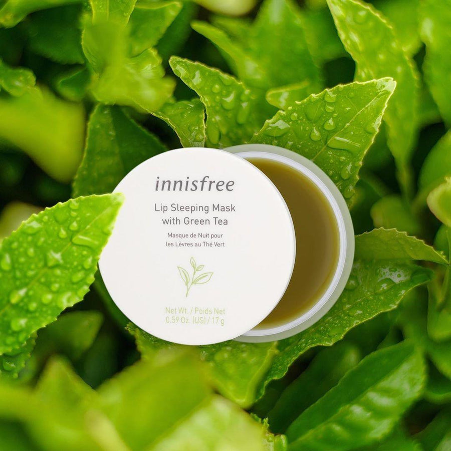 Mặt Nạ Môi Innisfree Green Tea Lip Sleeping Mask - Kallos Vietnam