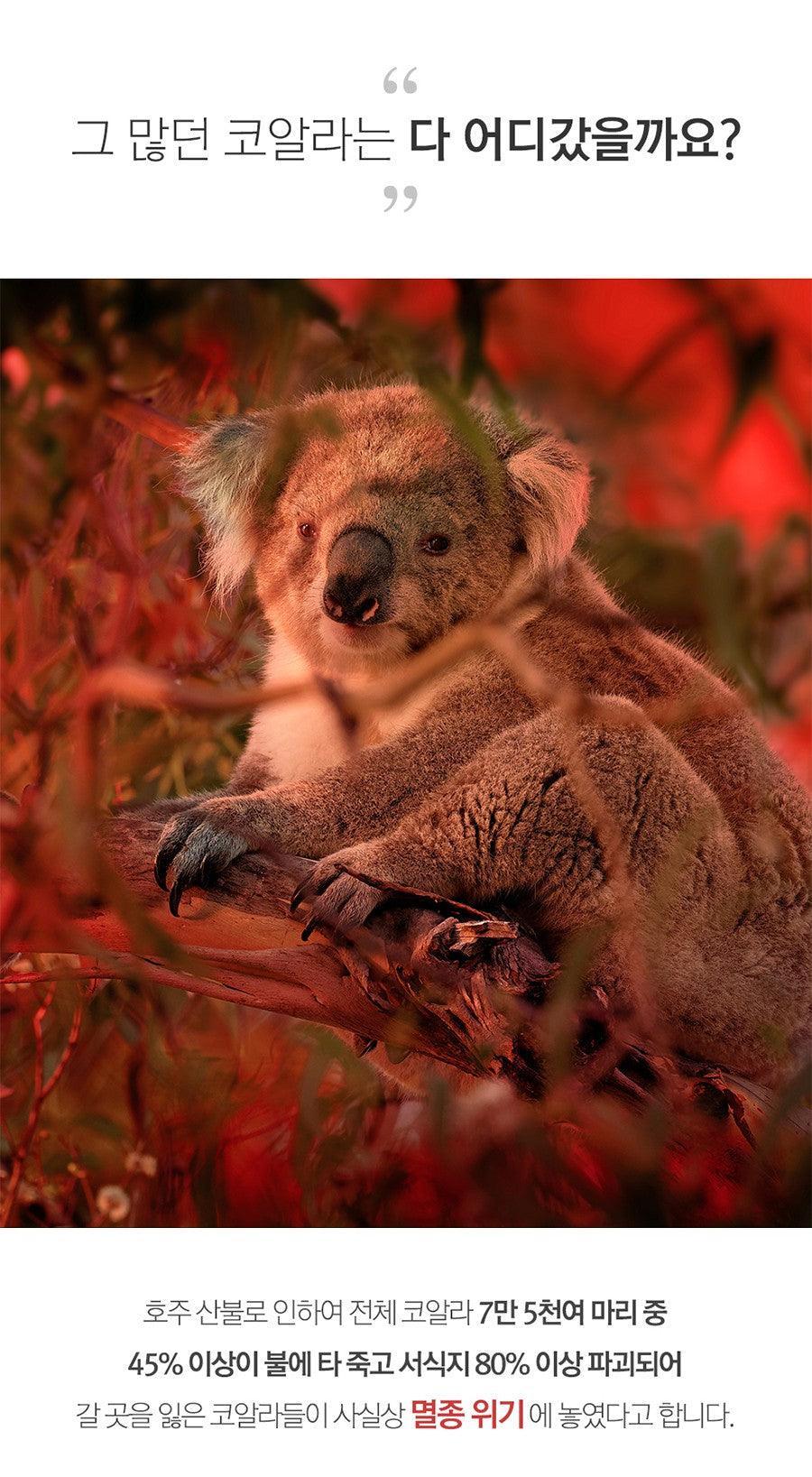 Nhẫn Wing Bling Koala's Hope Ring - Kallos Vietnam