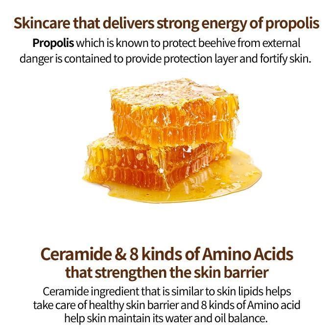 Nước Hoa Hồng Etude House Real Propolis Water Treatment - Kallos Vietnam