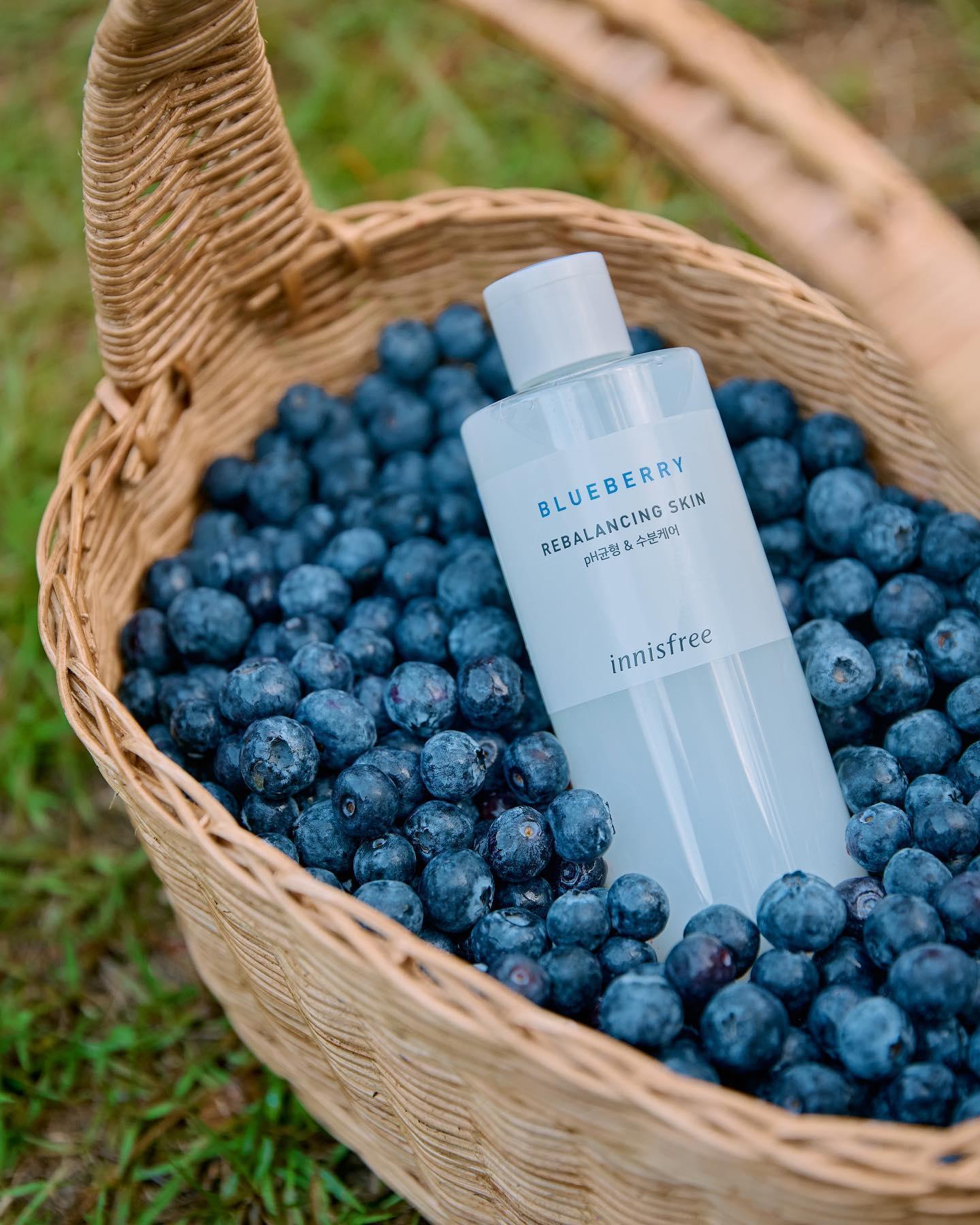 Nước Hoa Hồng Innisfree Blueberry Rebalancing Skin Toner - Kallos Vietnam