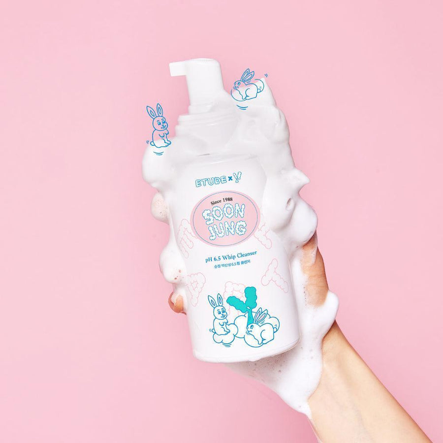 Sữa Rửa Mặt Etude House Soon Jung pH 6.5 Whip Cleanser Earth - Kallos Vietnam