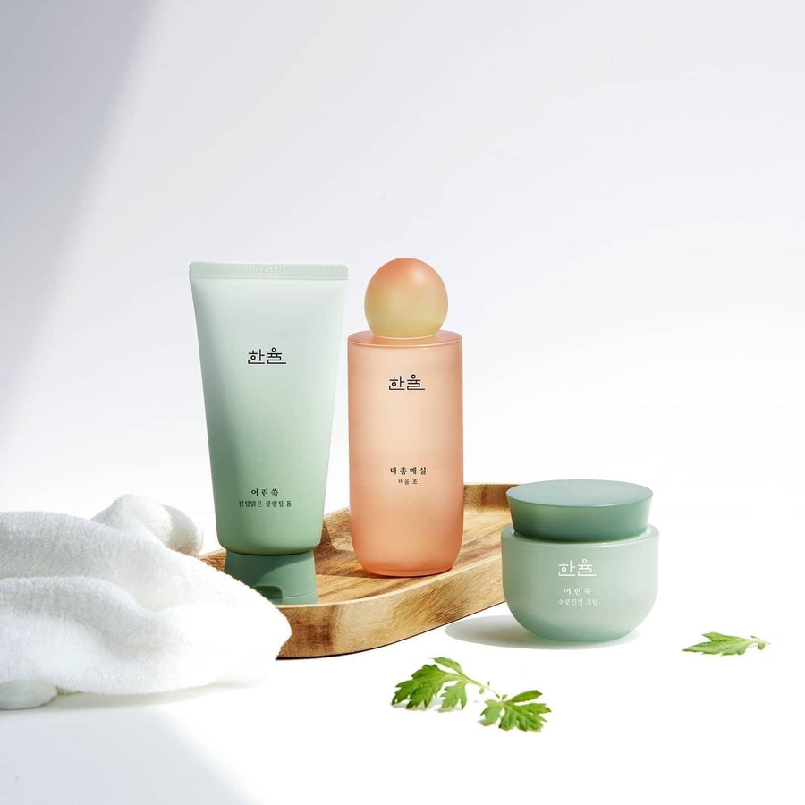 Sữa Rửa Mặt Hanyul Pure Artemisia Calming Foam Cleanser - Kallos Vietnam