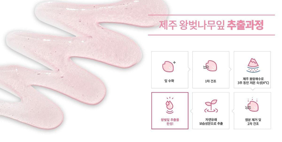 Sữa Rửa Mặt Innisfree Jeju Cherry Blossom Jam Cleanser - Kallos Vietnam