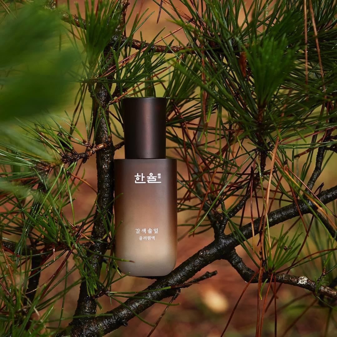 Tinh Chất Hanyul Brown Pine Leaves Optimizing Serum - Kallos Vietnam