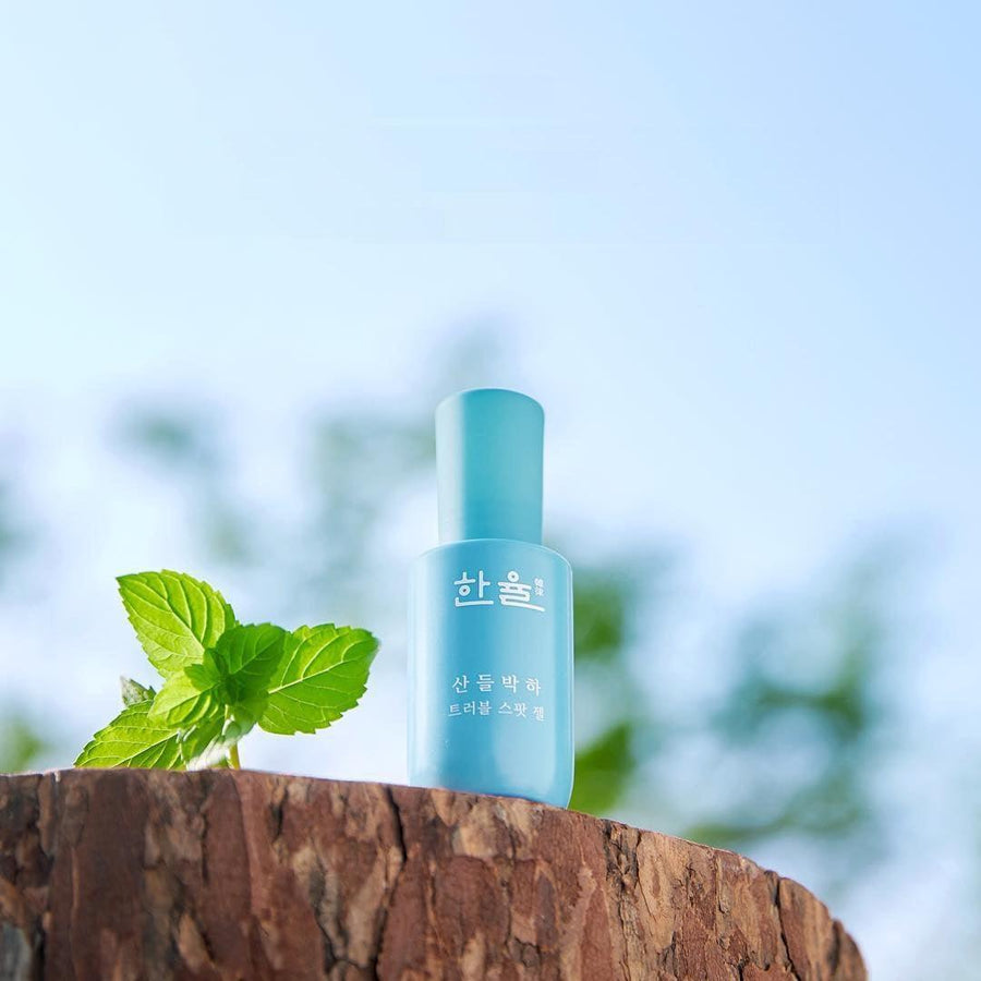 Tinh Chất Hanyul Mentha Trouble Spot Gel - Kallos Vietnam