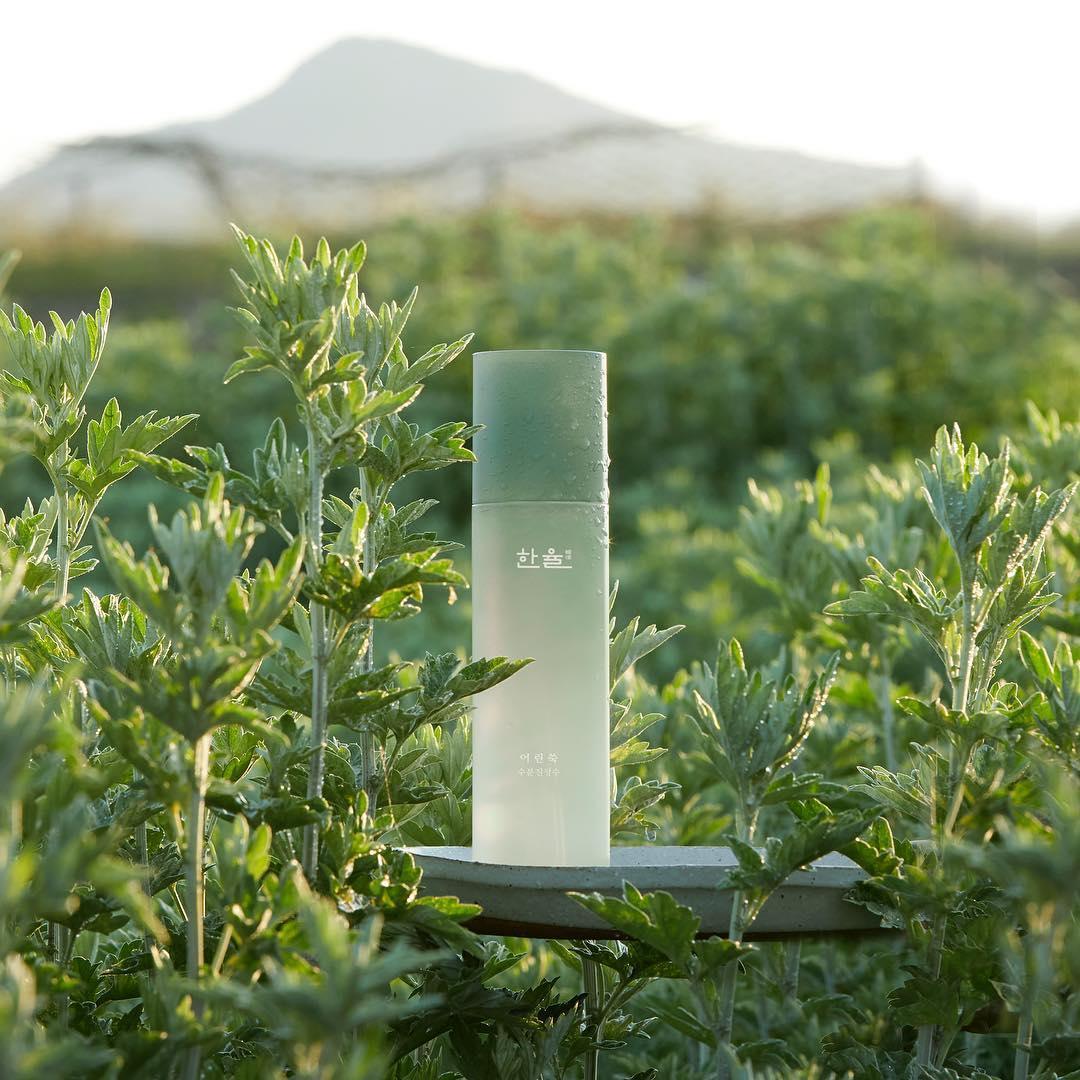 Xịt Khoáng Hanyul Pure Artemisia Fresh Calming Mist - Kallos Vietnam